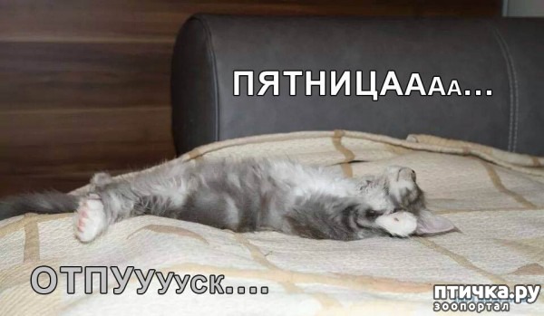 ���� 15: �����������: ������ �� � ������!