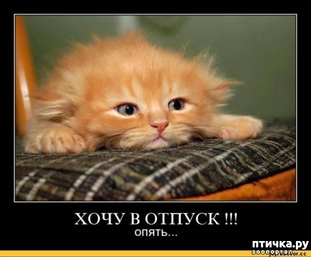 ���� 16: �����������: ������ �� � ������!