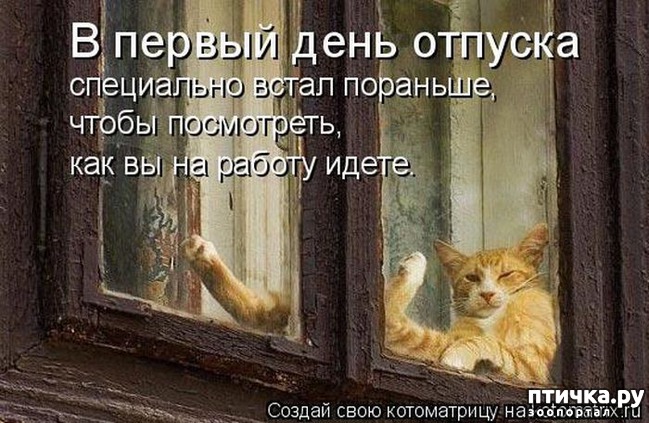 ���� 17: �����������: ������ �� � ������!