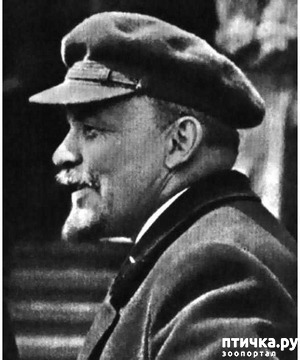 ����: ��� ������� ���������� ������������