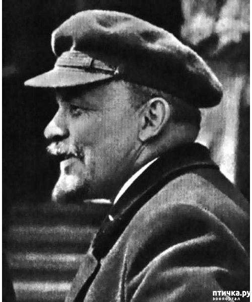 ���� 1: ��� ������� ���������� ������������