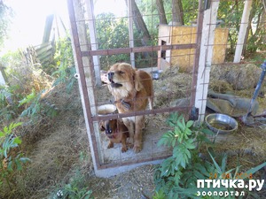 ����: ��������, ��������! ��������. �������������...