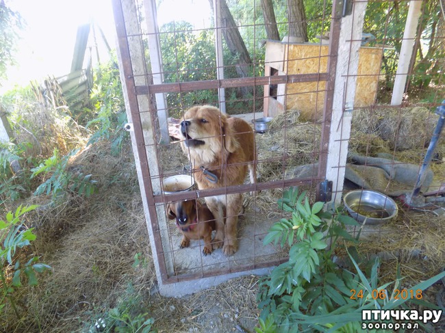 ���� 1: ��������, ��������! ��������. �������������...