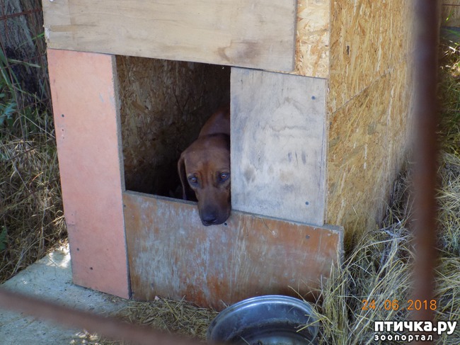 ���� 2: ��������, ��������! ��������. �������������...