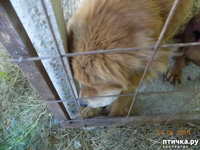 ���� 3: ��������, ��������! ��������. �������������...