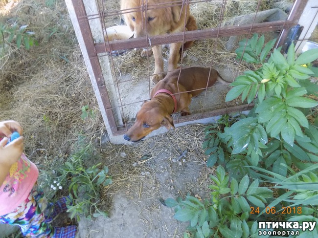 ���� 4: ��������, ��������! ��������. �������������...