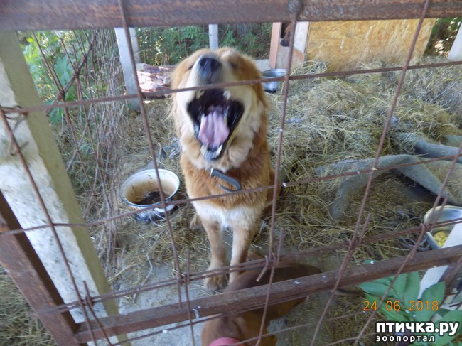 ���� 5: ��������, ��������! ��������. �������������...