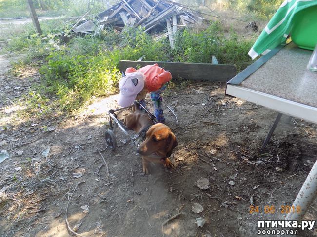 ���� 6: ��������, ��������! ��������. �������������...