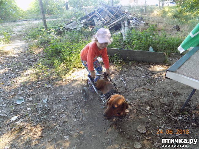 ���� 7: ��������, ��������! ��������. �������������...