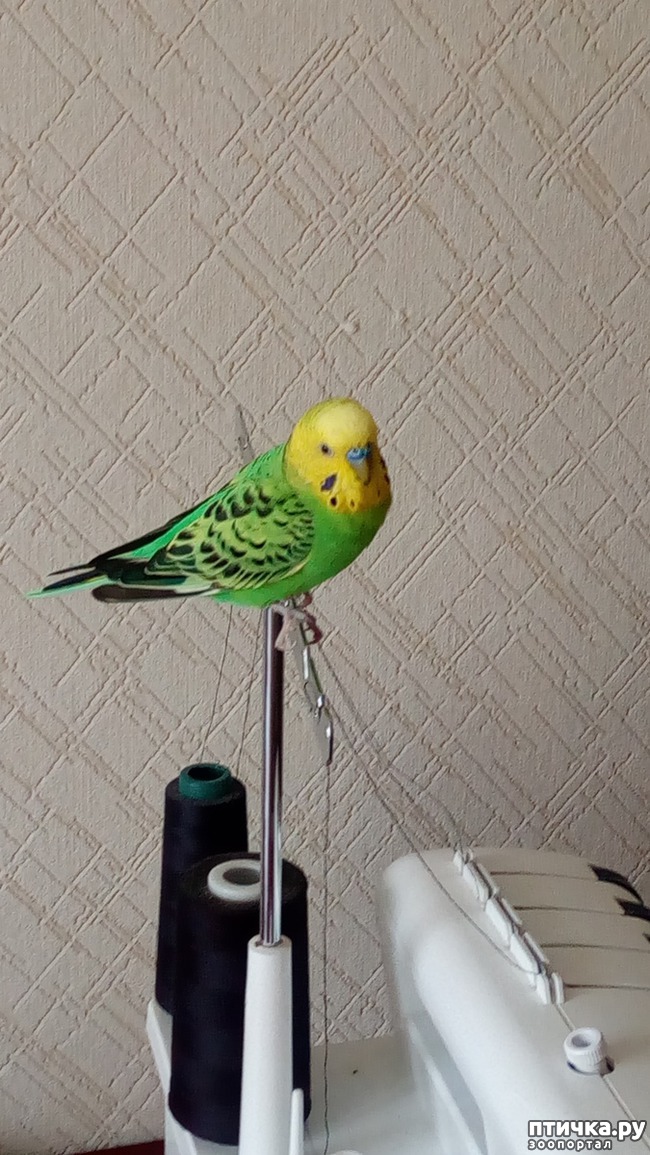 ���� 1: � ���� �������� �������...