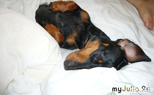 ���� 8: ������ ���