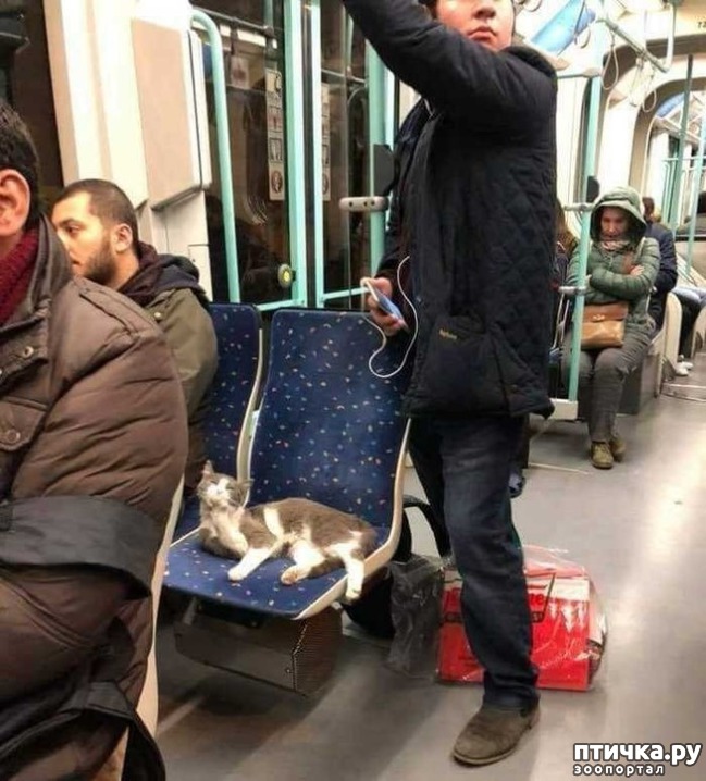 ���� 1: ���������� ����������� �����������