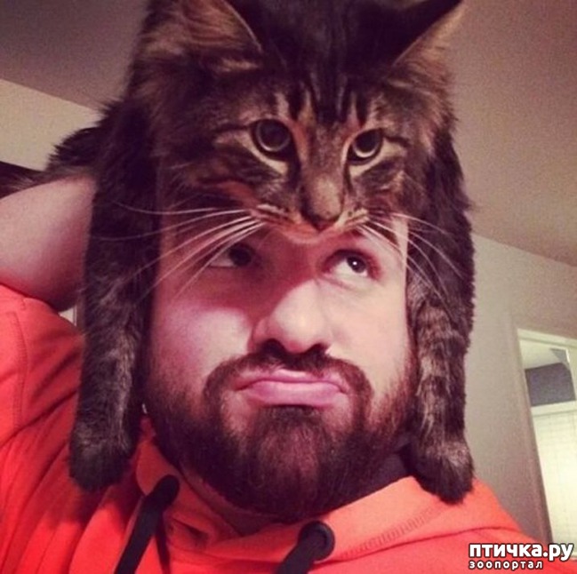 ���� 1: ���� � ������ �� ������ ����, �� ������ ��� ���: