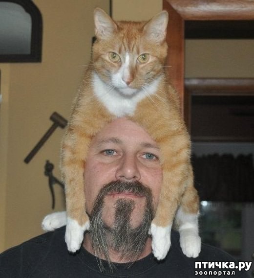 ���� 2: ���� � ������ �� ������ ����, �� ������ ��� ���: