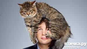 ���� 3: ���� � ������ �� ������ ����, �� ������ ��� ���: