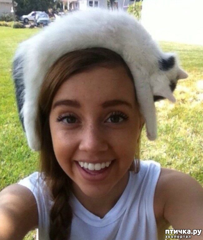 ���� 5: ���� � ������ �� ������ ����, �� ������ ��� ���: