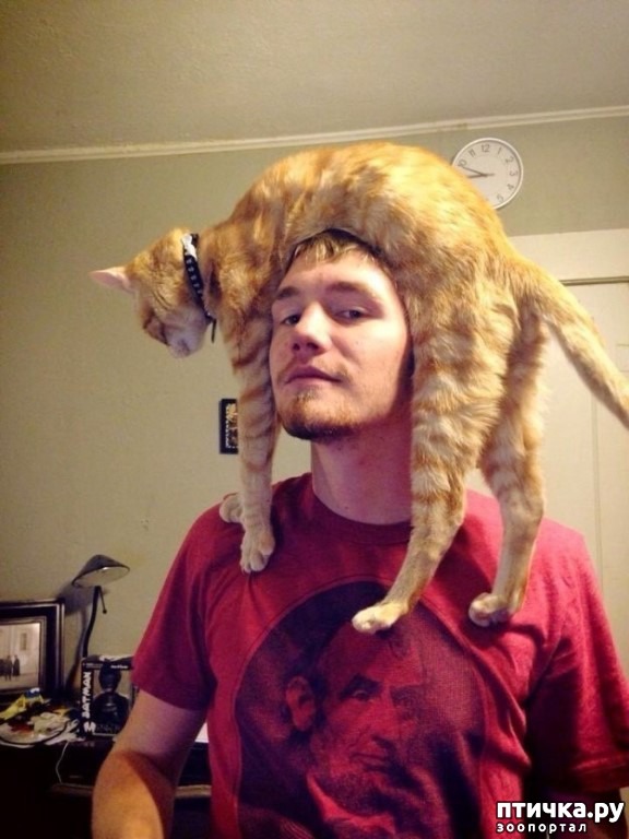 ���� 7: ���� � ������ �� ������ ����, �� ������ ��� ���: