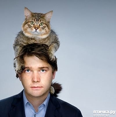 ���� 8: ���� � ������ �� ������ ����, �� ������ ��� ���: