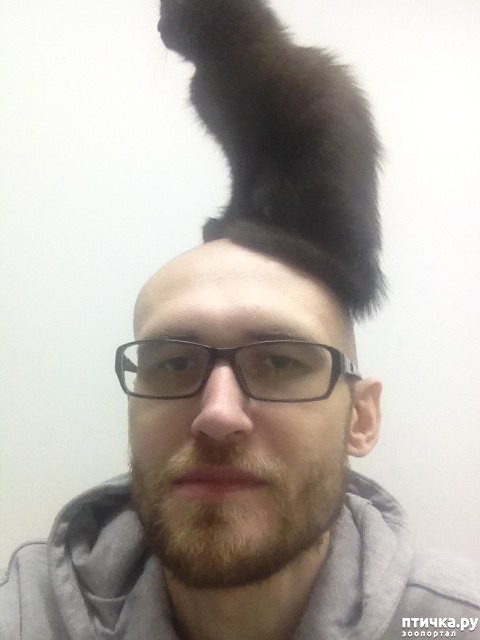 ���� 10: ���� � ������ �� ������ ����, �� ������ ��� ���: