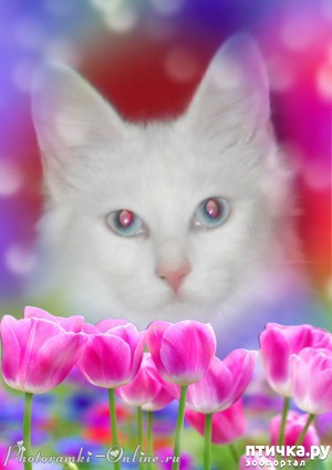 ����: 1 ����� - ������������� ���� �����!