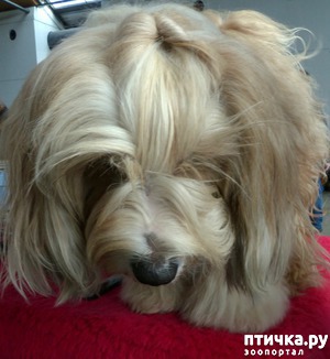 ����: �������� � �������� ����� 6