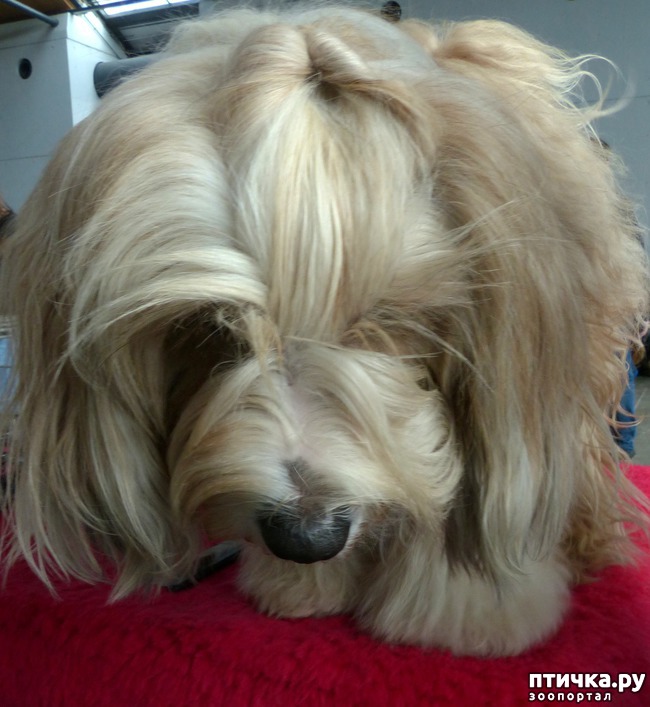 ���� 1: �������� � �������� ����� 6