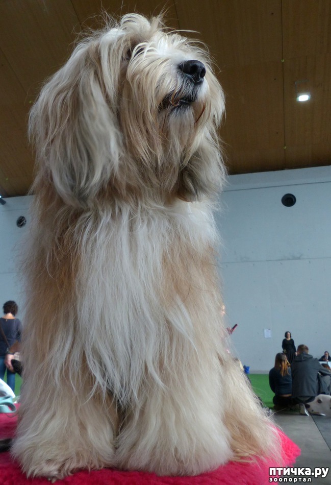 ���� 2: �������� � �������� ����� 6