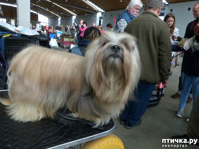 ���� 3: �������� � �������� ����� 6