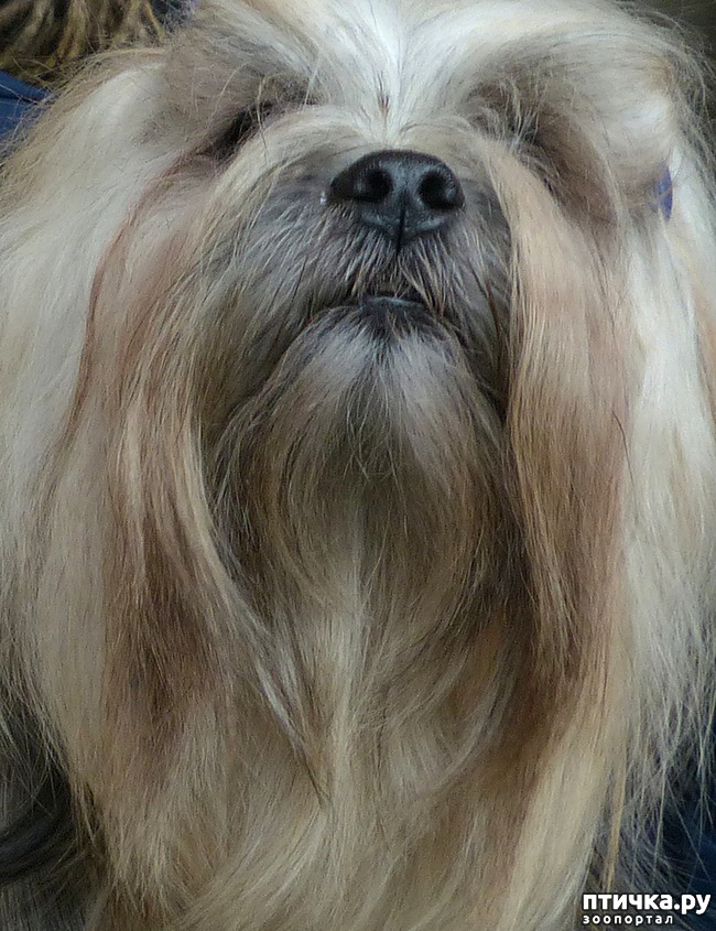 ���� 4: �������� � �������� ����� 6