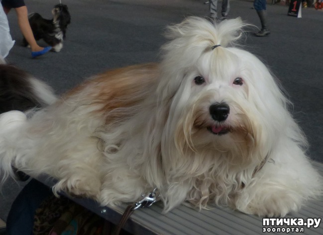 ���� 5: �������� � �������� ����� 6