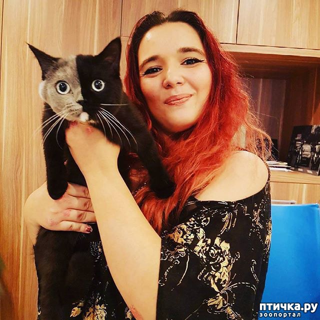 ���� 2: ����� ������ � ��������� ������� - ����� ����� �������))