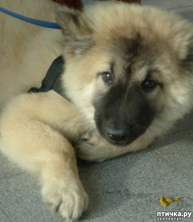 ���� 7: �������� � �������� ����� 6