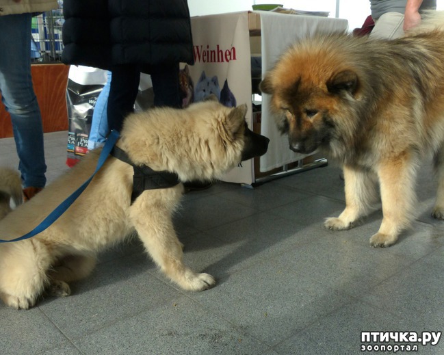 ���� 8: �������� � �������� ����� 6