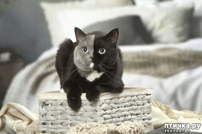 ���� 5: ����� ������ � ��������� ������� - ����� ����� �������))