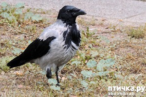 ����: � ������ �����