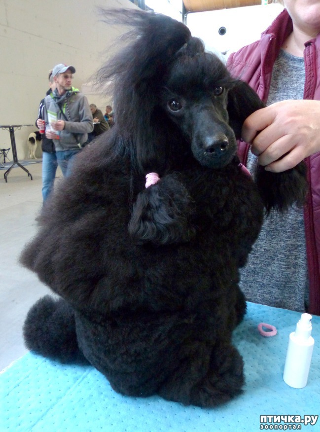 ���� 6: �������� � �������� ����� 6