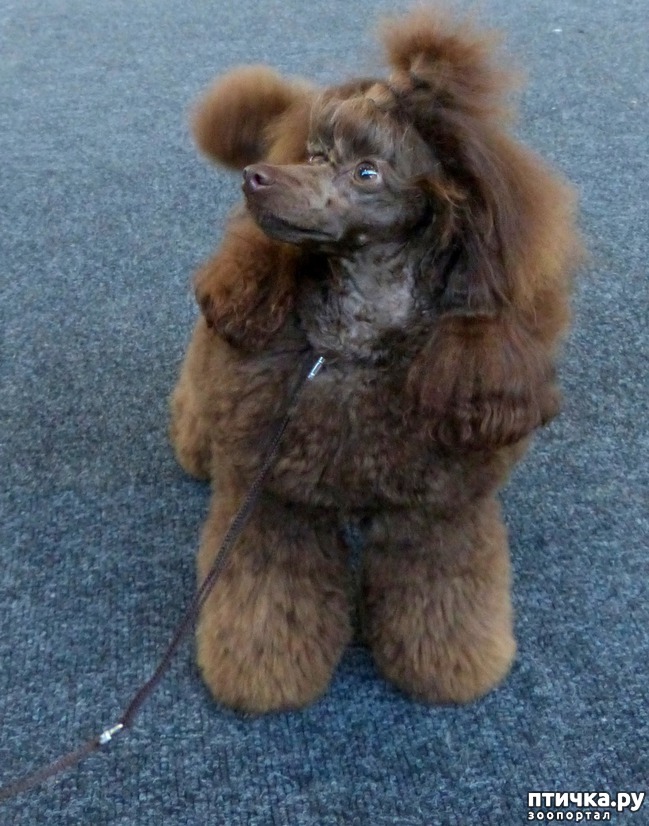 ���� 9: �������� � �������� ����� 6