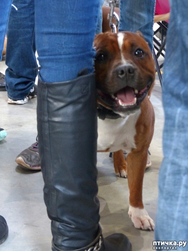 ���� 10: �������� � �������� ����� 6