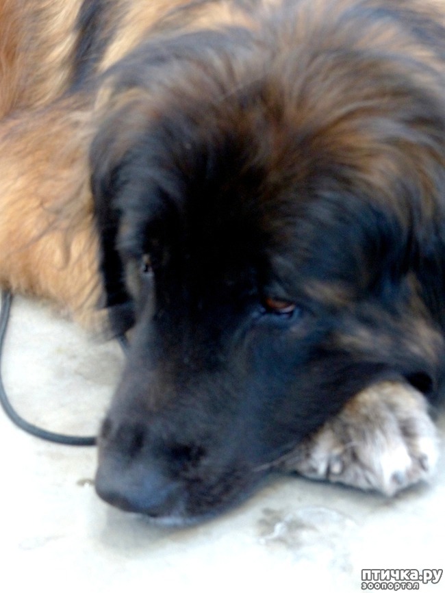 ���� 11: �������� � �������� ����� 6