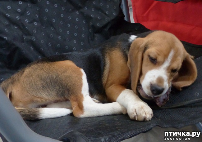 ���� 12: �������� � �������� ����� 6