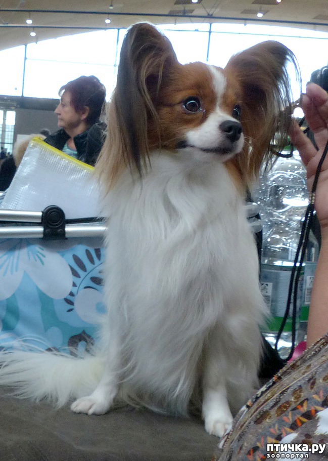 ���� 13: �������� � �������� ����� 6