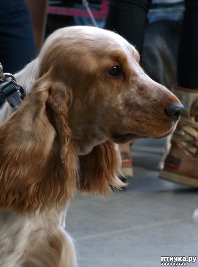 ���� 14: �������� � �������� ����� 6