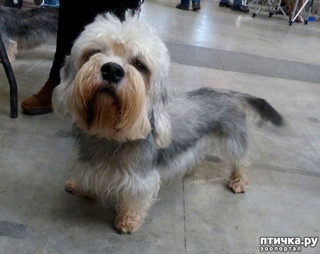 ���� 15: �������� � �������� ����� 6