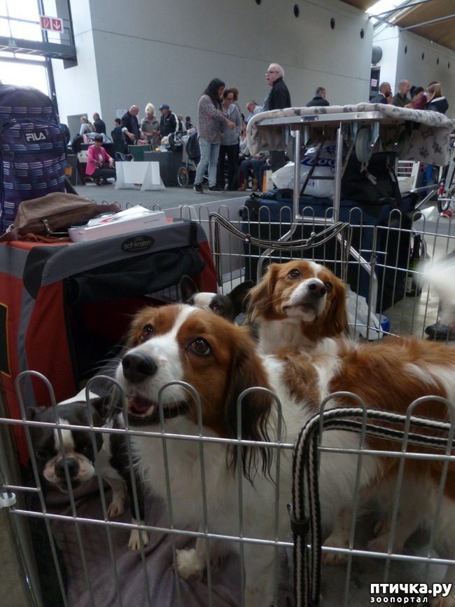 ���� 16: �������� � �������� ����� 6