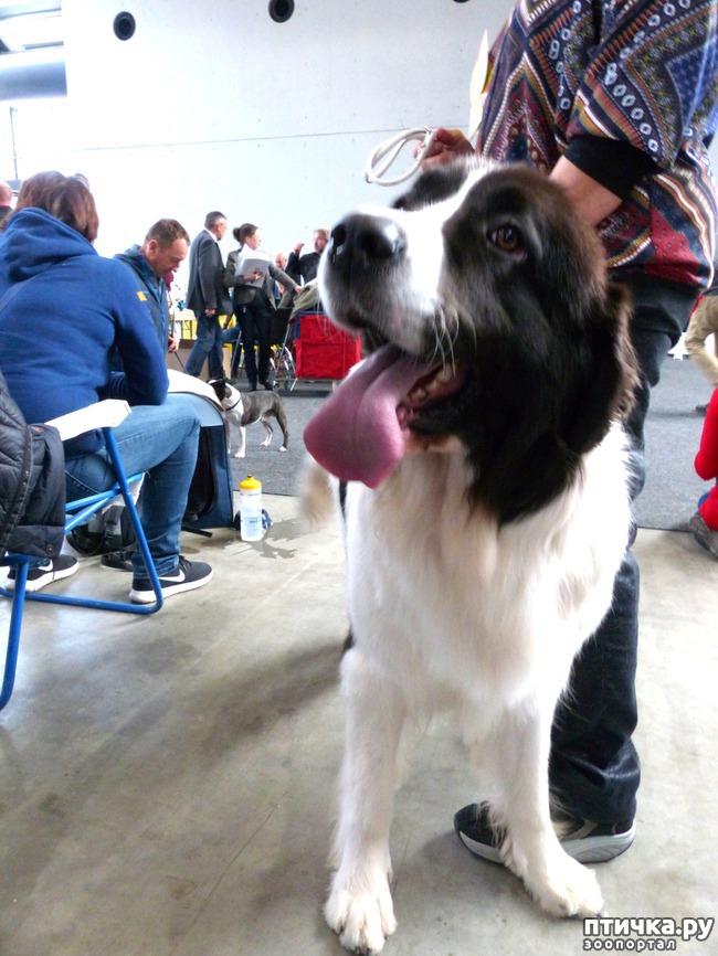 ���� 17: �������� � �������� ����� 6