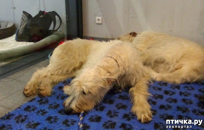 ���� 19: �������� � �������� ����� 6