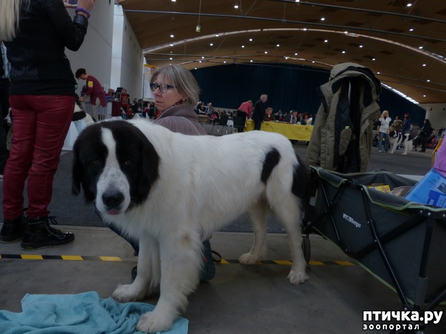 ���� 18: �������� � �������� ����� 6