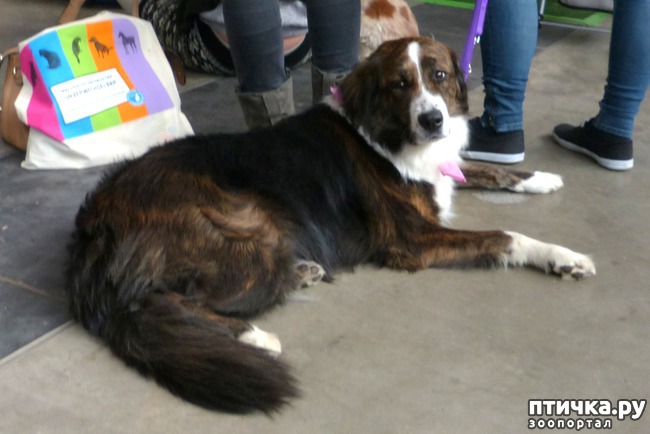 ���� 20: �������� � �������� ����� 6