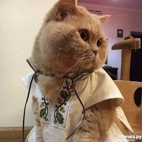 ���� 3: ����� � �������� �������))) � ���������� �����)))