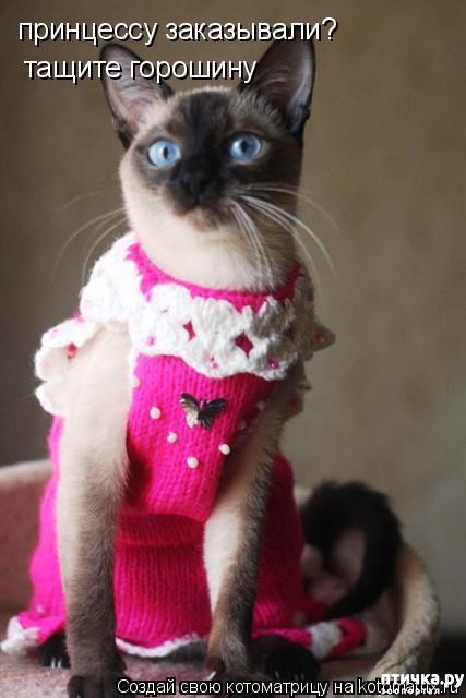 ���� 5: ����� � �������� �������))) � ���������� �����)))